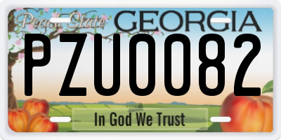 GA license plate PZU0082