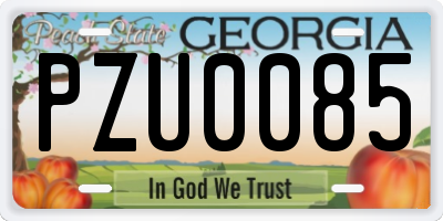 GA license plate PZU0085