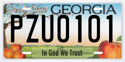 GA license plate PZU0101