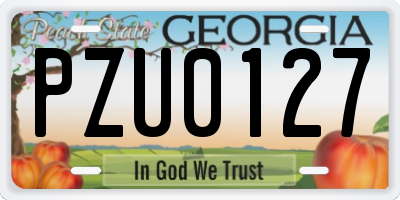 GA license plate PZU0127