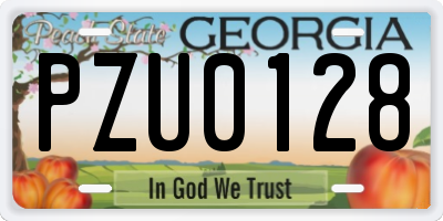 GA license plate PZU0128