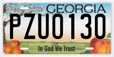 GA license plate PZU0130