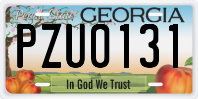 GA license plate PZU0131