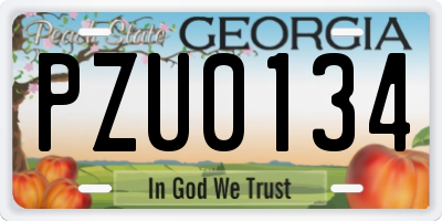 GA license plate PZU0134