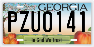 GA license plate PZU0141