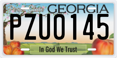 GA license plate PZU0145