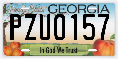GA license plate PZU0157