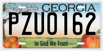 GA license plate PZU0162