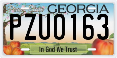 GA license plate PZU0163