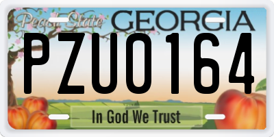 GA license plate PZU0164