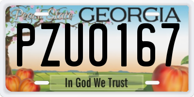 GA license plate PZU0167