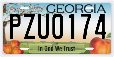GA license plate PZU0174