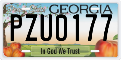 GA license plate PZU0177