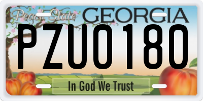 GA license plate PZU0180
