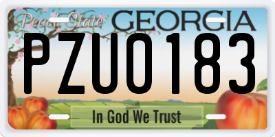 GA license plate PZU0183