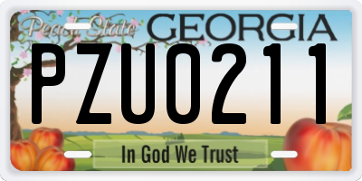 GA license plate PZU0211