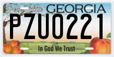 GA license plate PZU0221