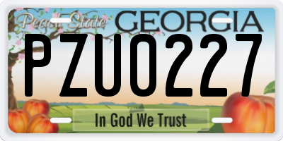GA license plate PZU0227