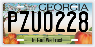 GA license plate PZU0228
