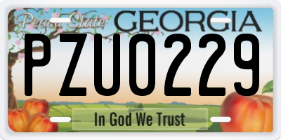 GA license plate PZU0229
