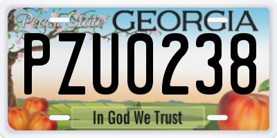 GA license plate PZU0238