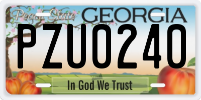 GA license plate PZU0240