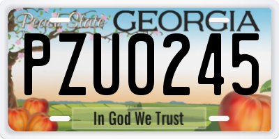 GA license plate PZU0245