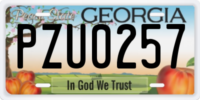 GA license plate PZU0257