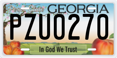 GA license plate PZU0270