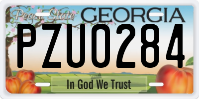 GA license plate PZU0284
