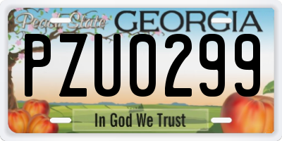 GA license plate PZU0299