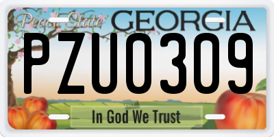 GA license plate PZU0309