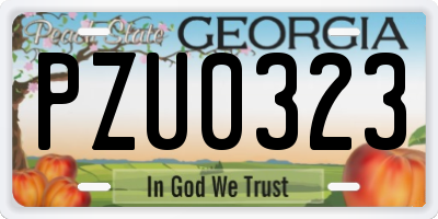 GA license plate PZU0323
