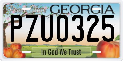 GA license plate PZU0325