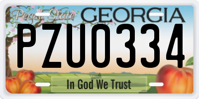 GA license plate PZU0334