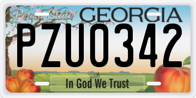 GA license plate PZU0342