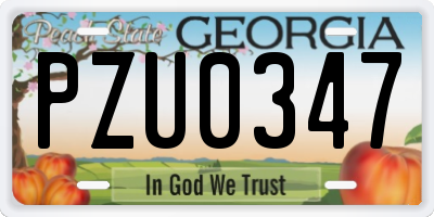 GA license plate PZU0347