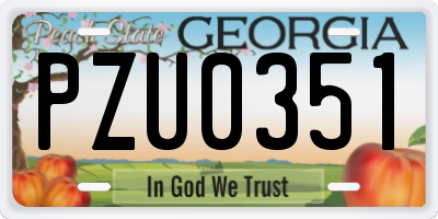 GA license plate PZU0351