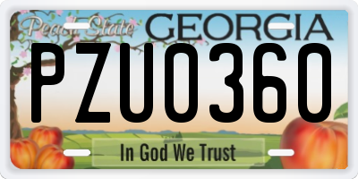 GA license plate PZU0360