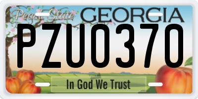GA license plate PZU0370