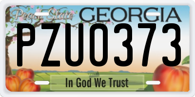 GA license plate PZU0373