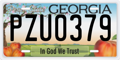 GA license plate PZU0379