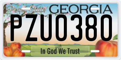 GA license plate PZU0380