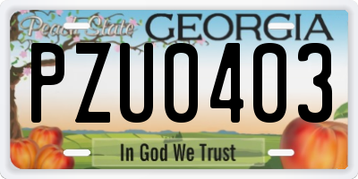 GA license plate PZU0403