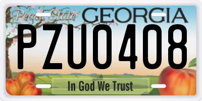 GA license plate PZU0408