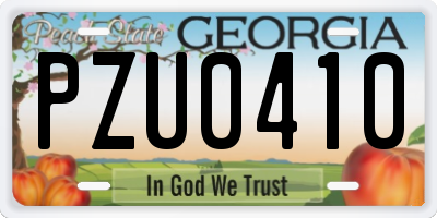 GA license plate PZU0410