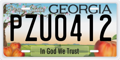 GA license plate PZU0412