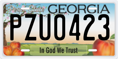 GA license plate PZU0423