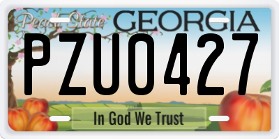 GA license plate PZU0427