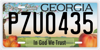 GA license plate PZU0435